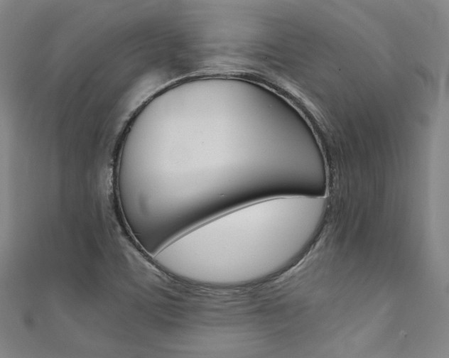 X0000111351459200907100925
