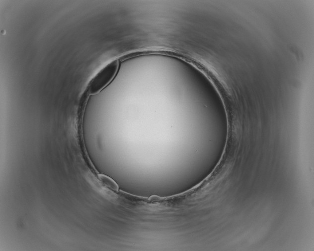 X0000111351460200907100925