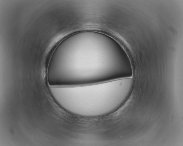 X0000111351461200907100924