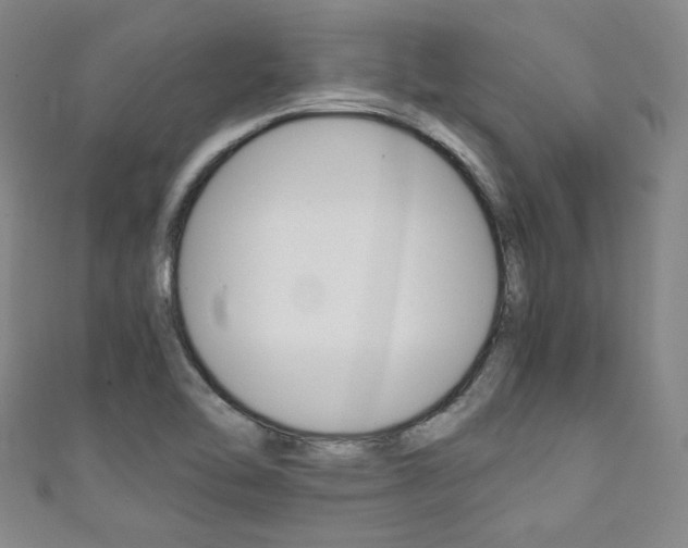 X0000111351462200907100924
