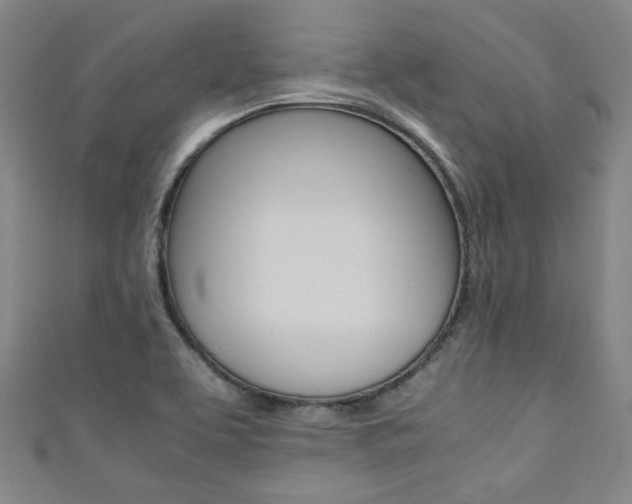 X0000111351463200907100924