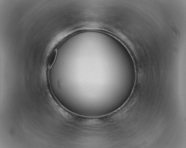 X0000111351464200907100924
