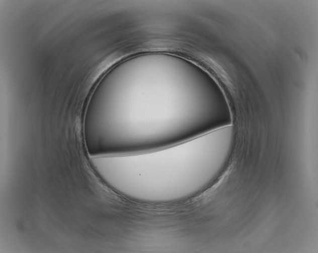 X0000111351465200907100924