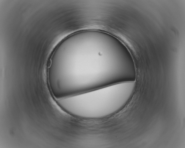 X0000111351468200907100924