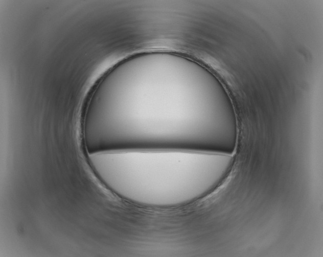 X0000111351469200907100924