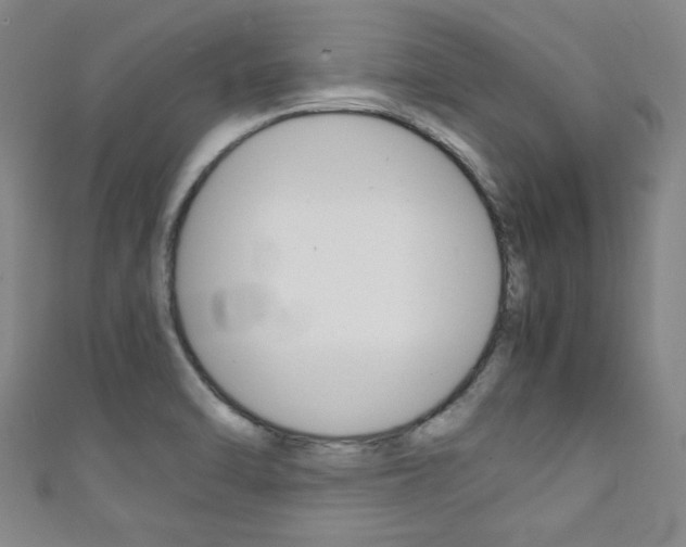 X0000111351470200907100924