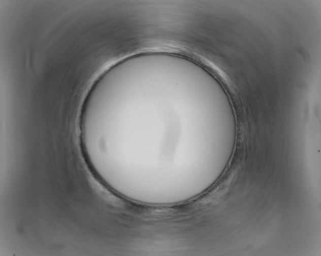 X0000111351471200907100924