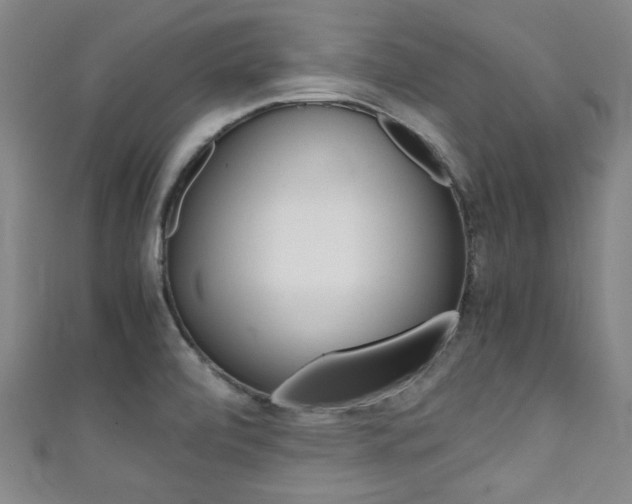 X0000111351472200907100924