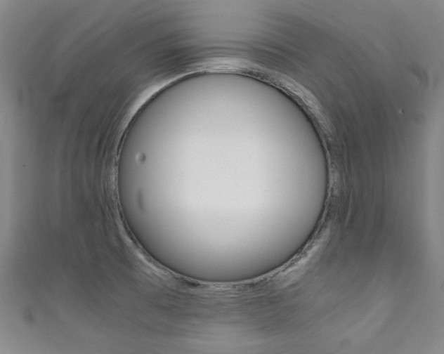 X0000111351473200907100924