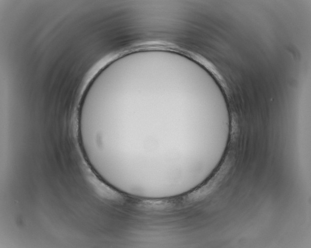 X0000111351474200907100924