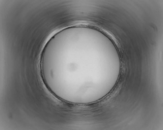 X0000111351475200907100924
