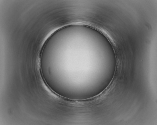 X0000111351476200907100924