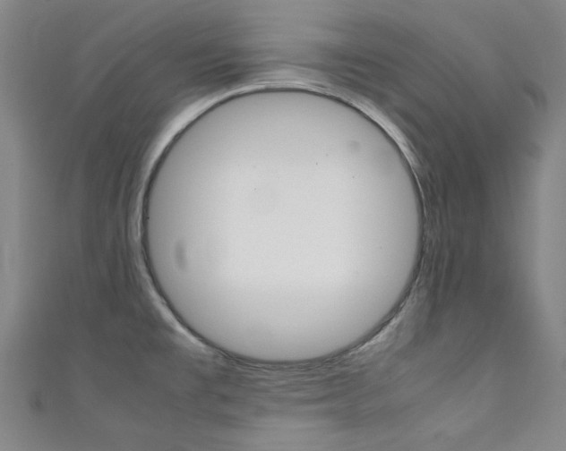 X0000111351477200907100924
