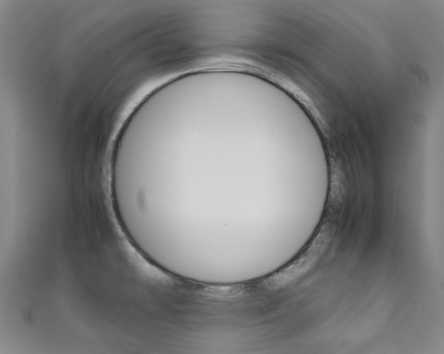 X0000111351478200907100924