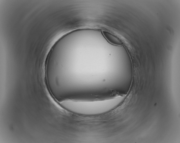X0000111351479200907100924