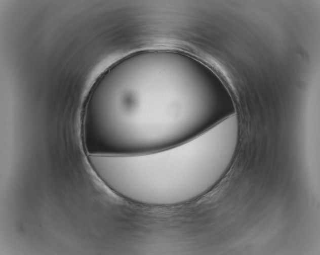 X0000111351480200907100924