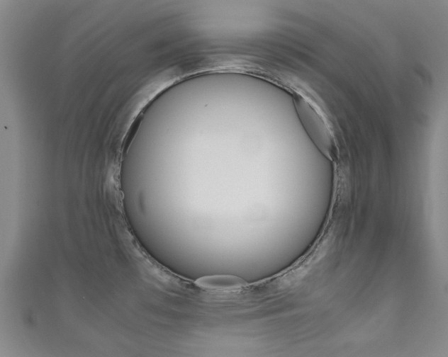 X0000111351481200907100924