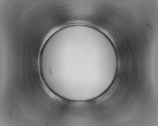 X0000111351482200907100924