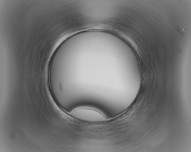 X0000111351483200907100924