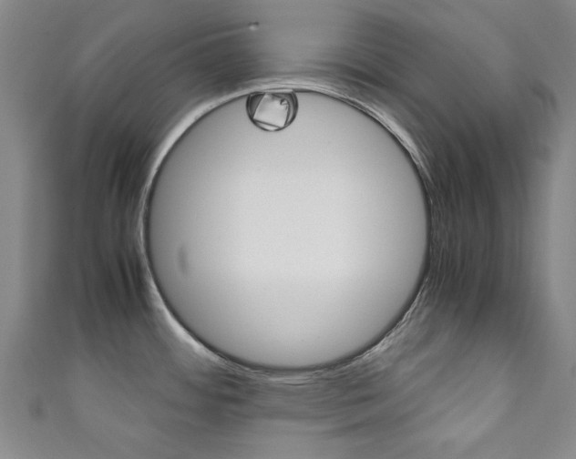 X0000111351484200907100924