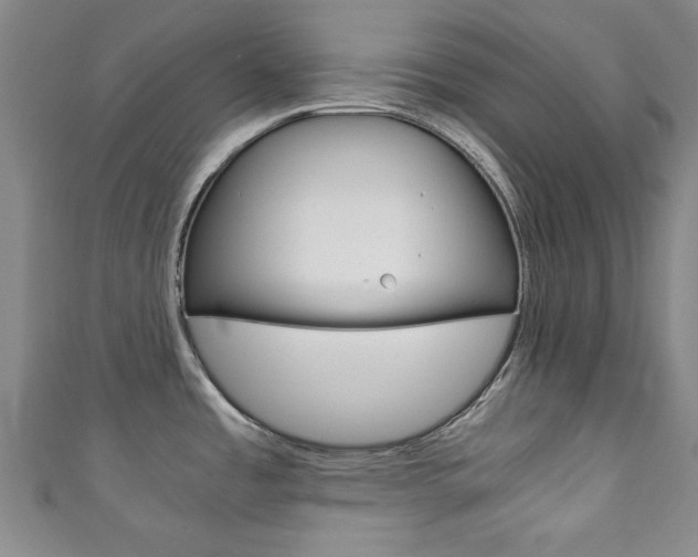 X0000111351485200907100924