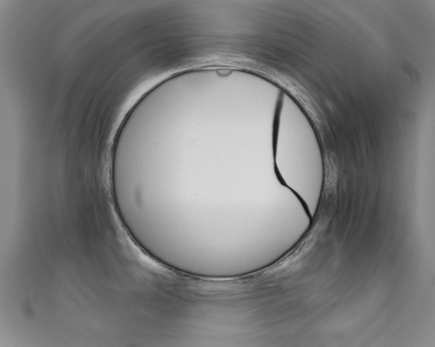 X0000111351486200907100924