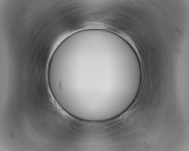 X0000111351488200907100924