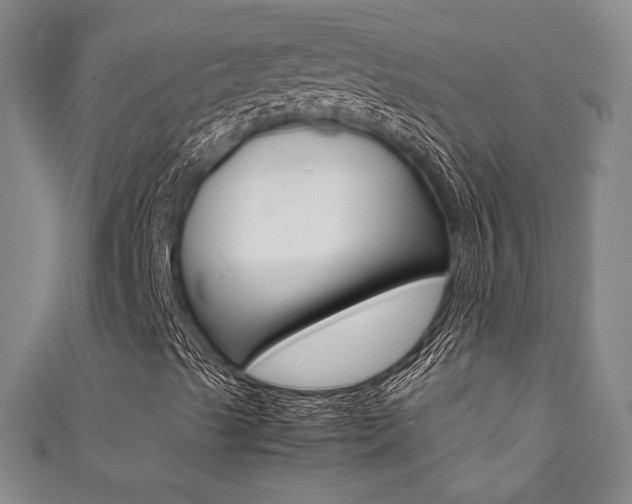 X0000111351489200907100924