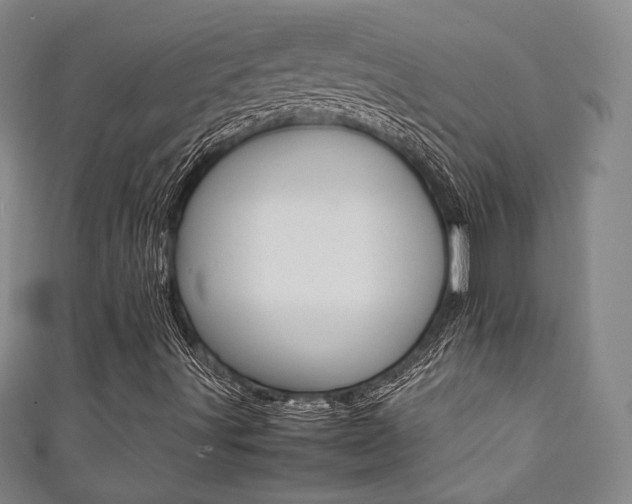 X0000111351491200907100924