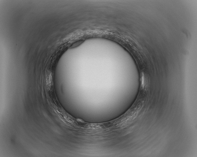 X0000111351492200907100924