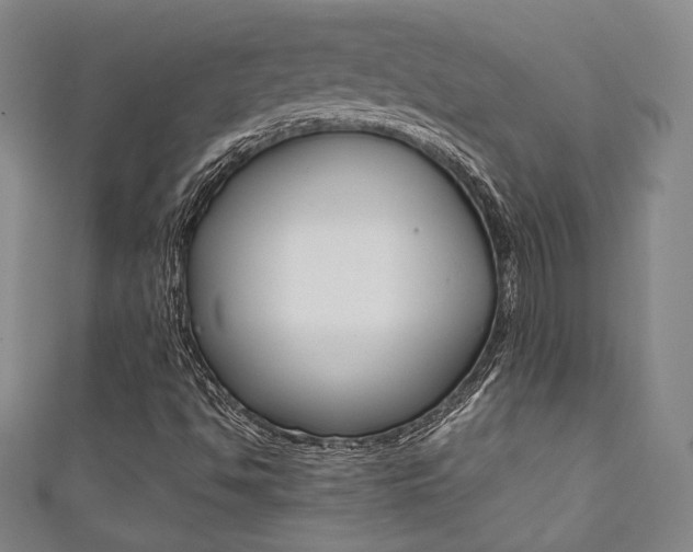 X0000111351494200907100924