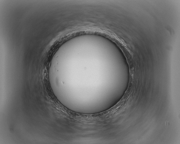 X0000111351495200907100924