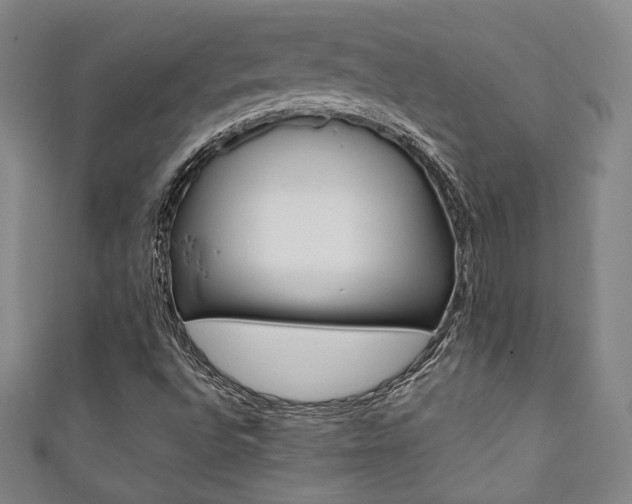 X0000111351496200907100924