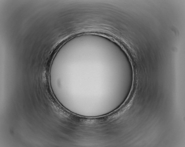 X0000111351497200907100924