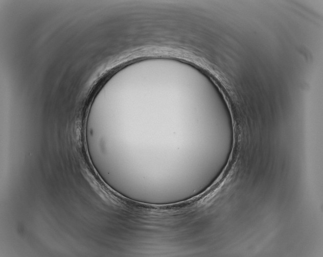 X0000111351499200907100924