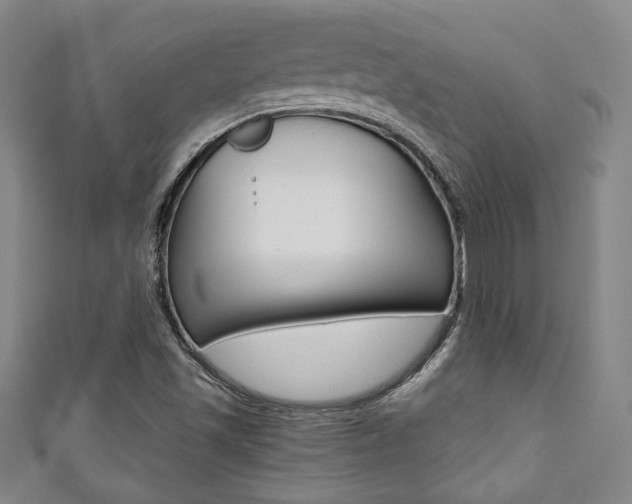 X0000111351501200907100924