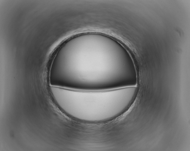 X0000111351502200907100924