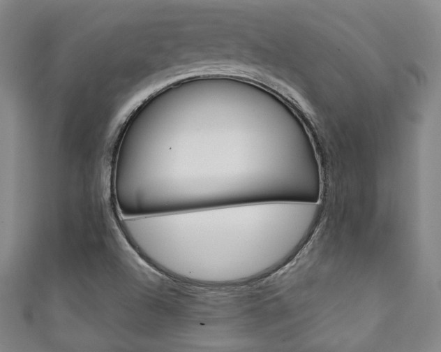 X0000111351504200907100924