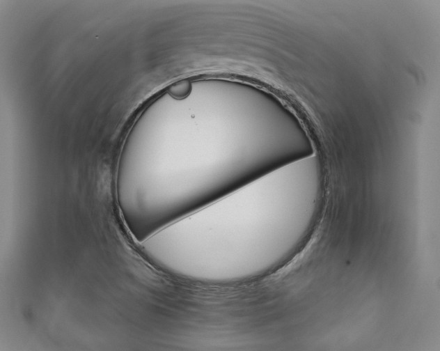 X0000111351505200907100924