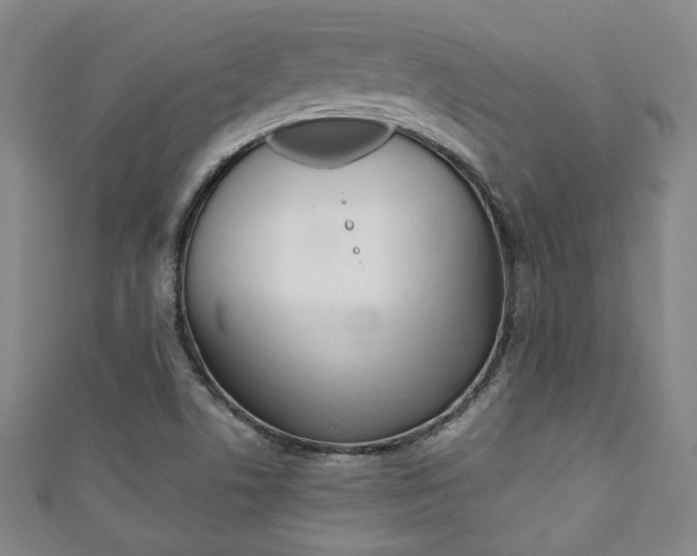 X0000111351506200907100924