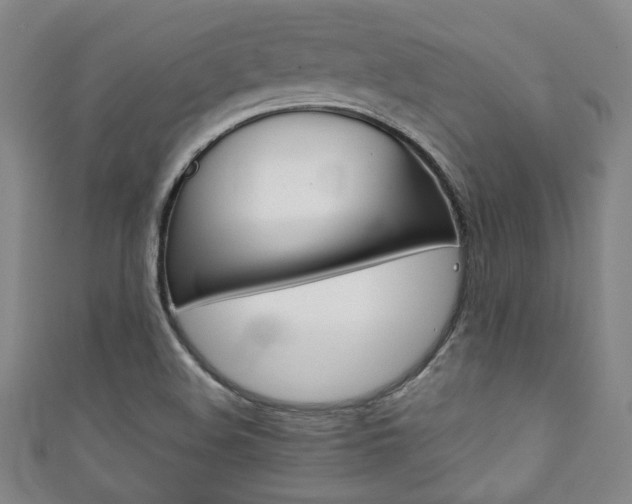 X0000111351508200907100924