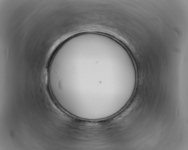 X0000111351509200907100924