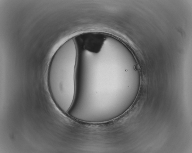 X0000111351512200907100924