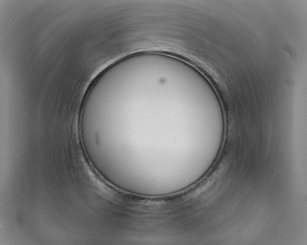 X0000111351513200907100924