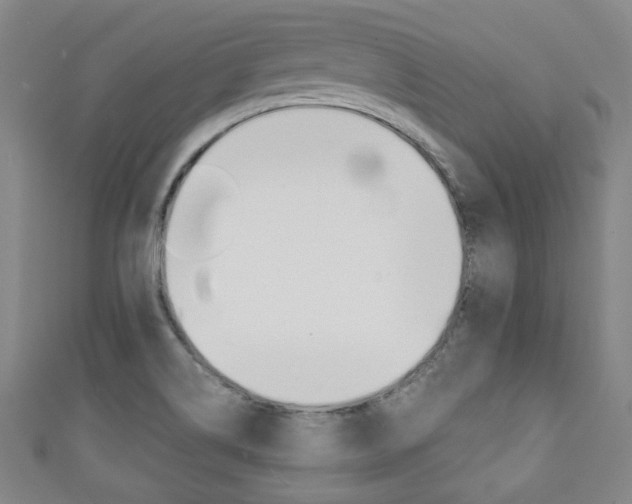 X0000111351514200907100924