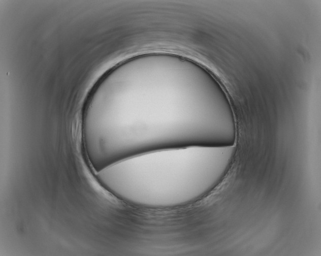 X0000111351515200907100924
