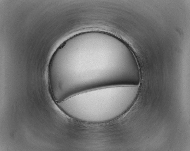X0000111351516200907100924