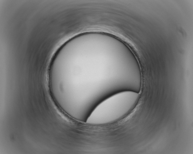 X0000111351517200907100924