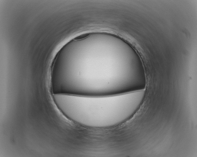 X0000111351520200907100924
