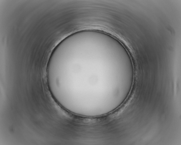 X0000111351521200907100924